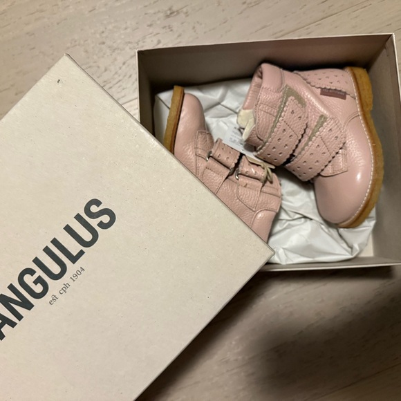 Angulus - Picture 1 of 4